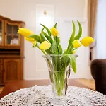 Apartment Zakatek Zywiecki