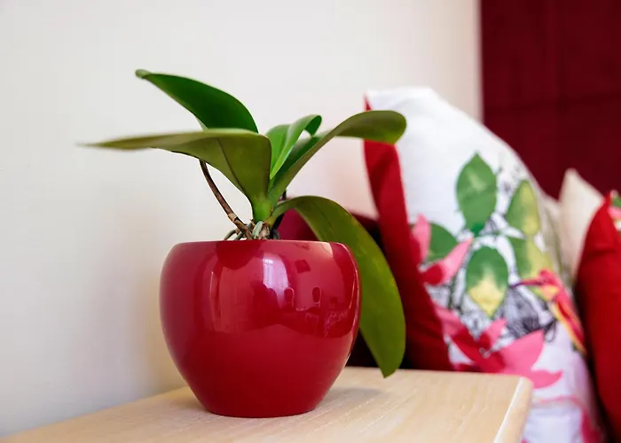 شقة Zakatek Zywiecki Żywiec